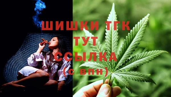 бошки Бронницы