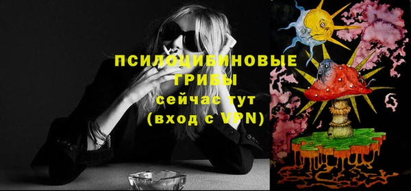 бошки Кодинск